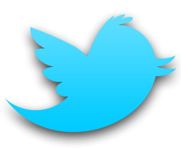 5.000.000 de usuarios Españoles en Twitter